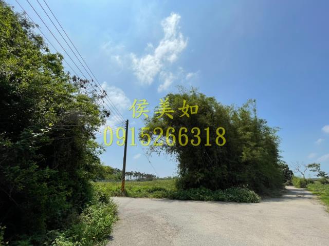 六腳農地-8
