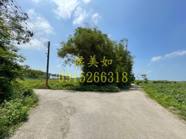 六腳農地-9