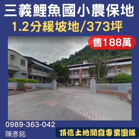 苗栗法拍農地-1