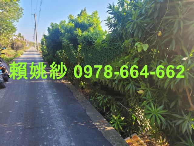 田尾農地-1