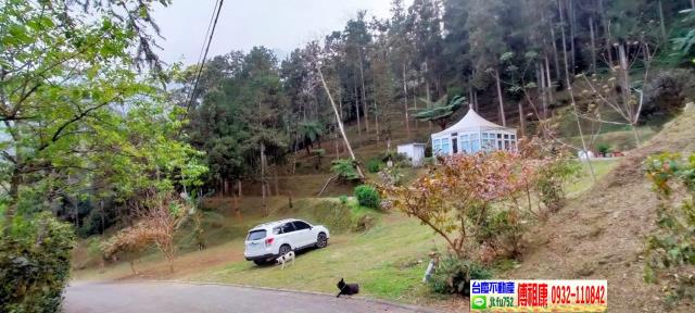 竹東農地-1