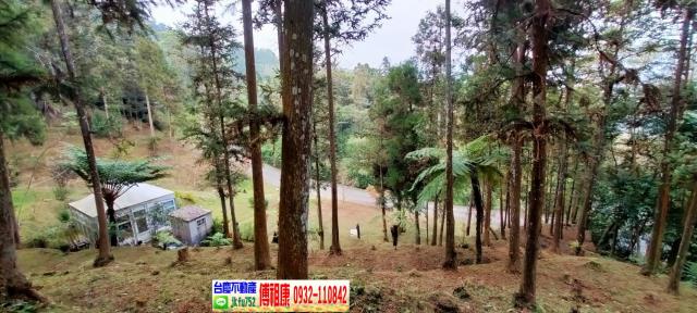 竹東農地-8