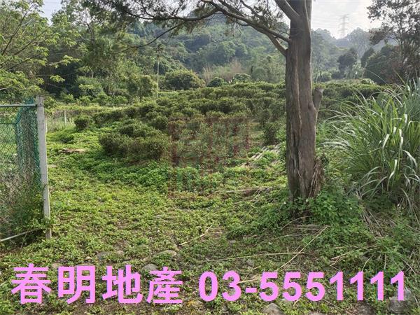 新竹北埔殯葬用地-1
