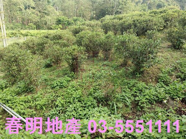 新竹北埔殯葬用地-2