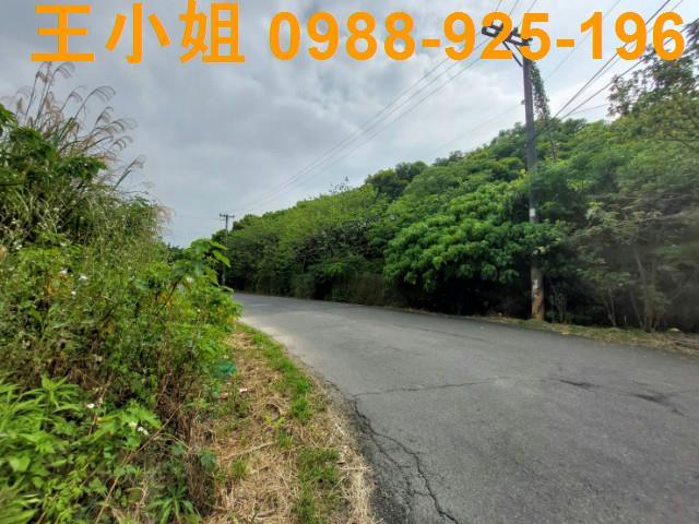 桃園桃園區農地-3