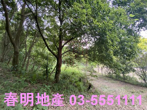橫山農地-4