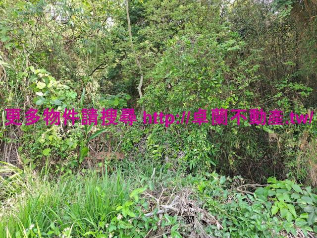 苗栗卓蘭農地-5