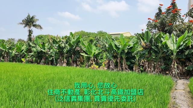 溪州建地-4