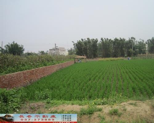 苗栗頭份農地-1