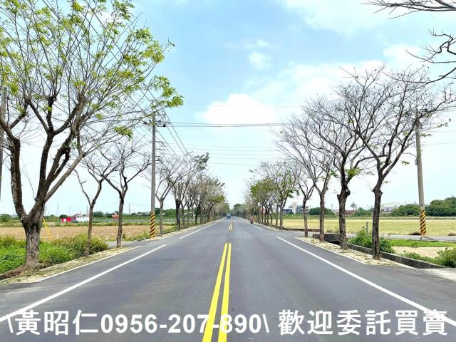 台南新營建地-8
