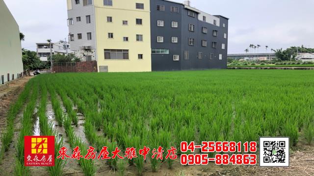 台中農地-3