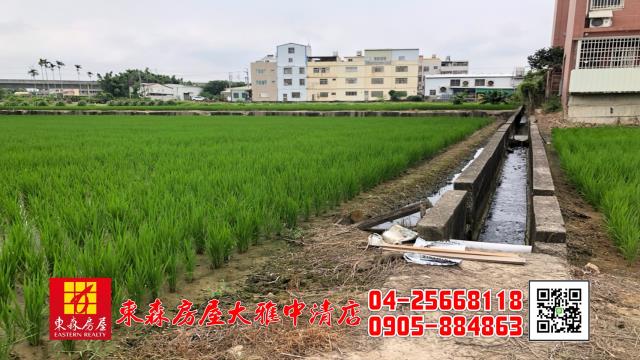 台中農地-4