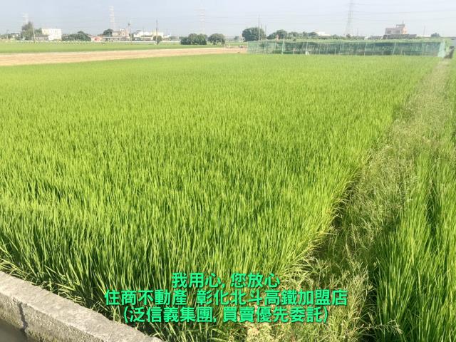 竹塘農地-2