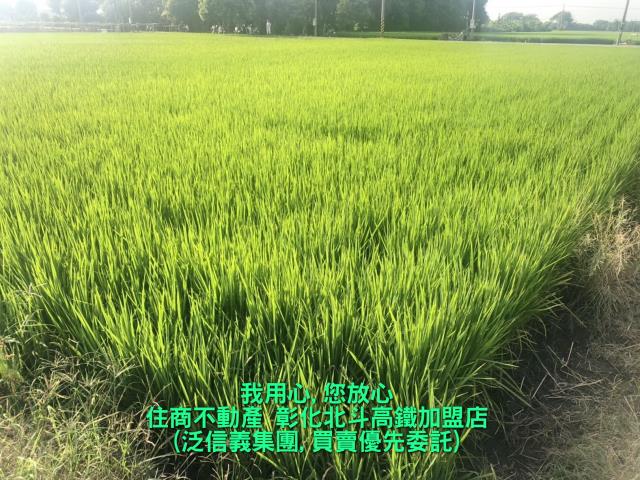 竹塘農地-3
