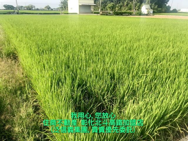 竹塘農地-4