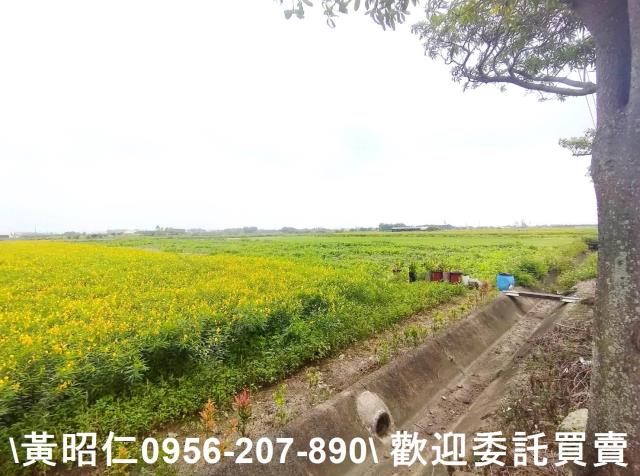 佳里農地-2