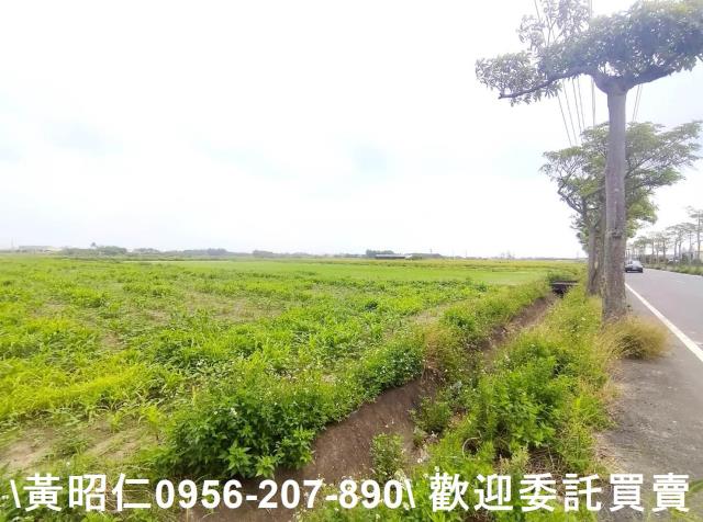 佳里農地-3