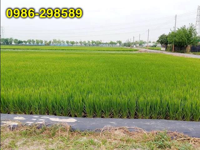 台南白河農地-3