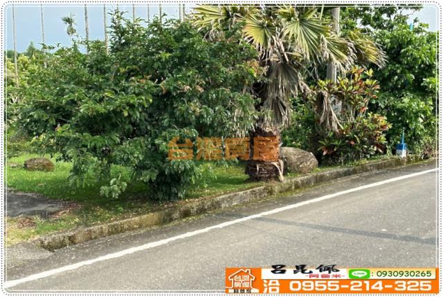 中埔農地-2