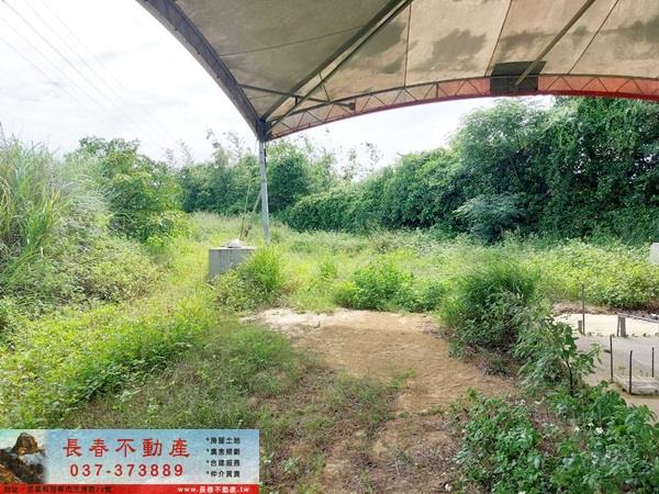 後龍農地-2