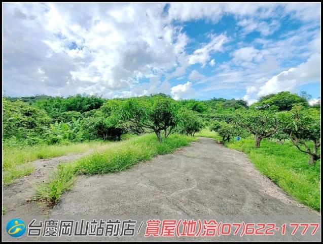 田寮農地-11