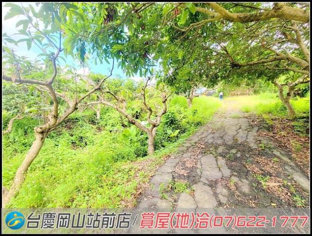 田寮農地-14