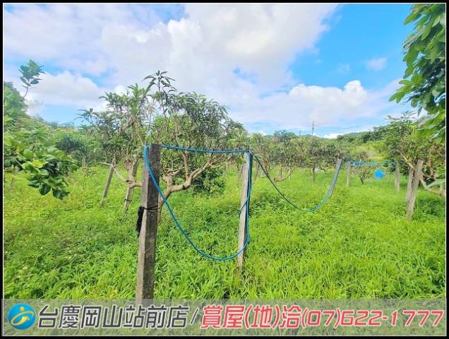 田寮農地-15