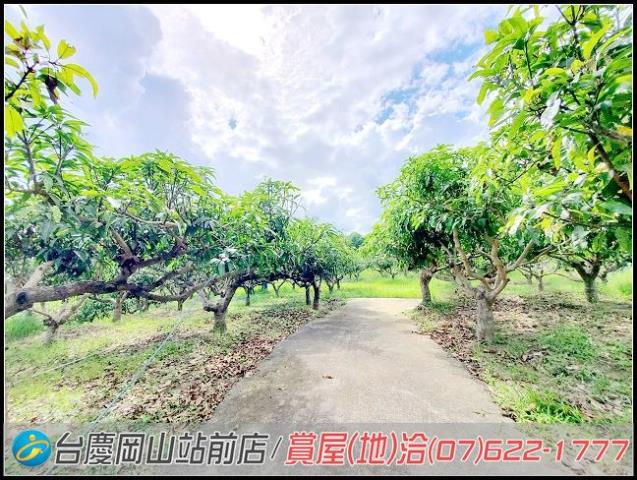 田寮農地-6