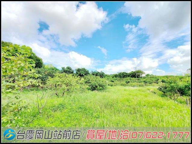 田寮農地-8