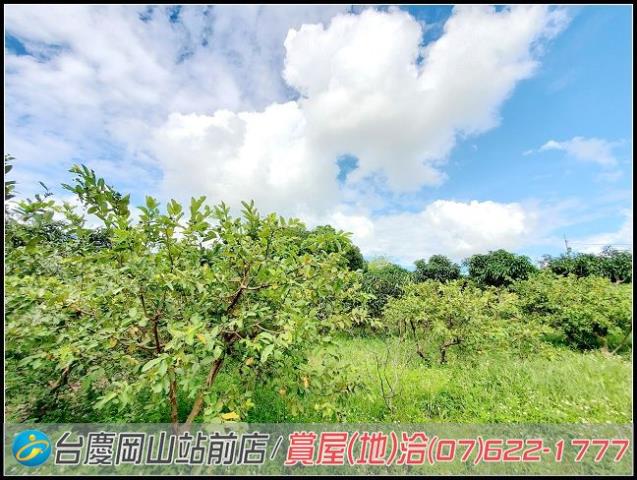 田寮農地-9
