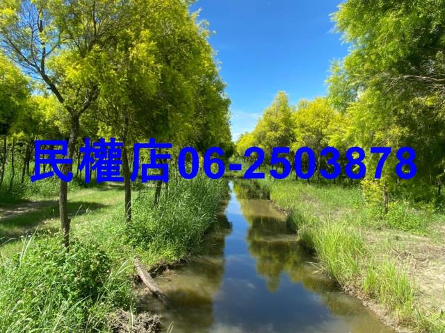 六甲農地-4