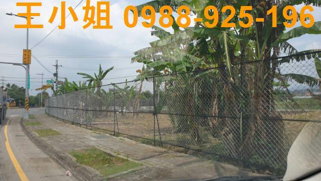 桃園農地-1
