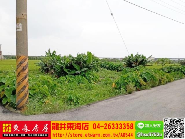 台中清水農地-2