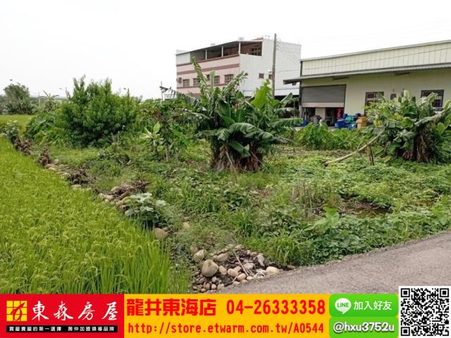 台中清水農地-5
