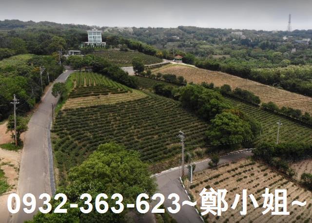 桃園龍潭農地-11