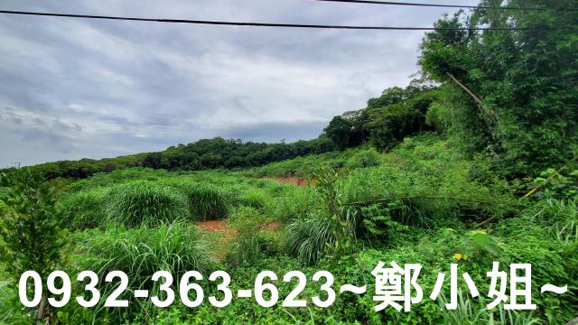桃園龍潭農地-2
