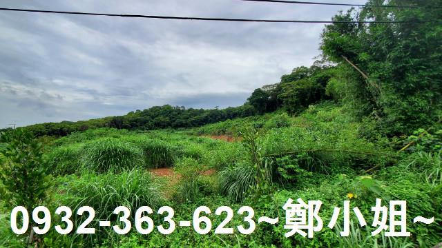 桃園龍潭農地-4