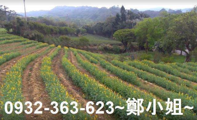 桃園龍潭農地-12
