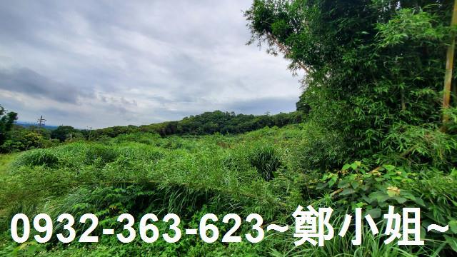 桃園龍潭農地-5