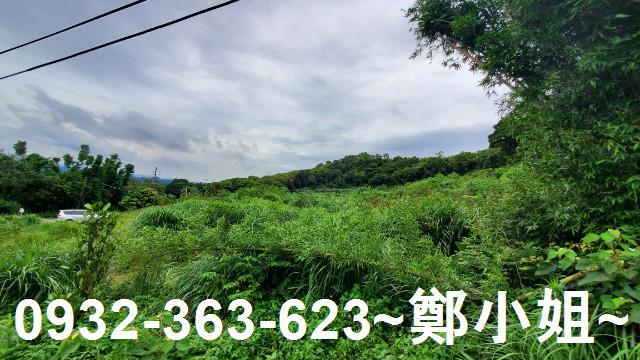 桃園龍潭農地-7