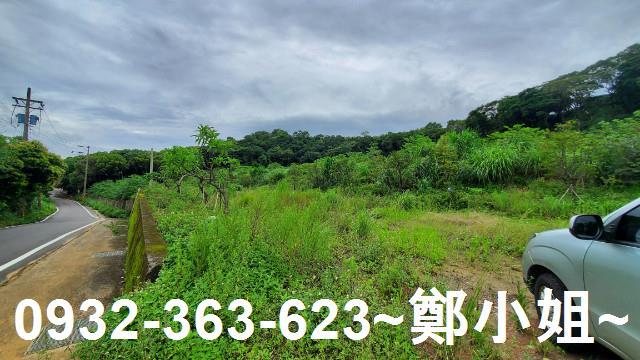 桃園龍潭農地-8