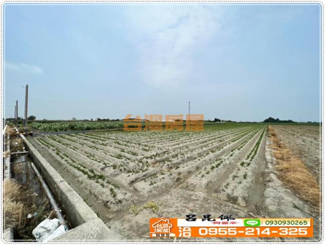 四湖農地-3