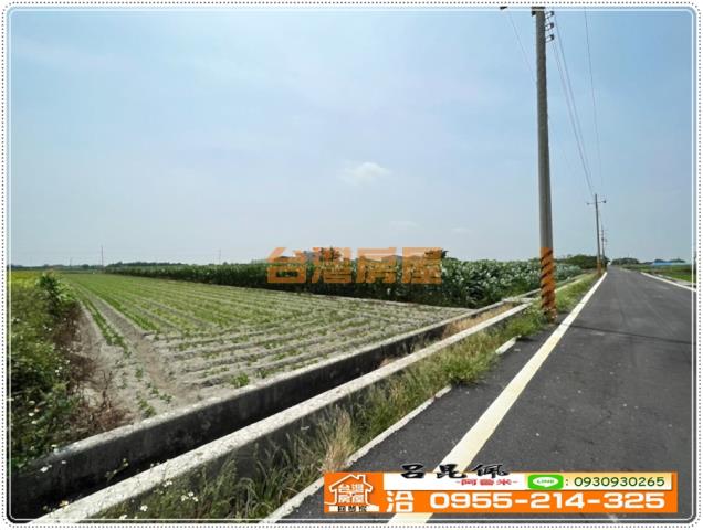 四湖農地-5
