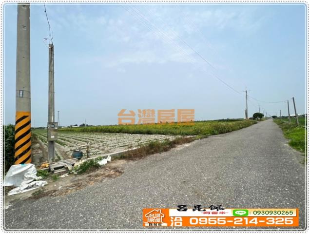 四湖農地-6