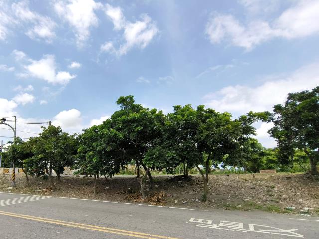 彰化埔鹽農地-4