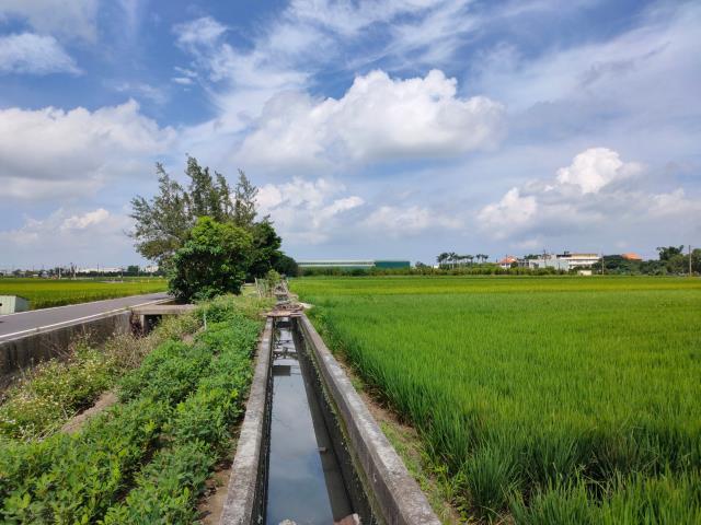 彰化埔鹽農地-4