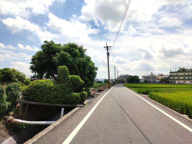 彰化埔鹽農地-10