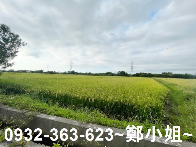 桃園新屋農地-2