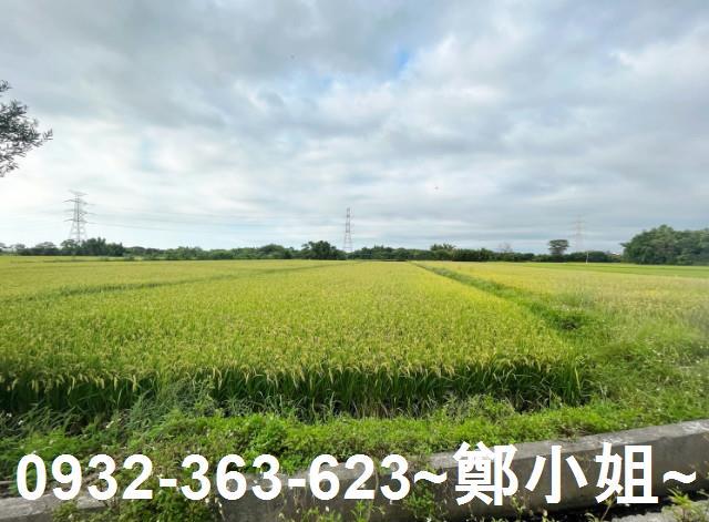桃園新屋農地-3