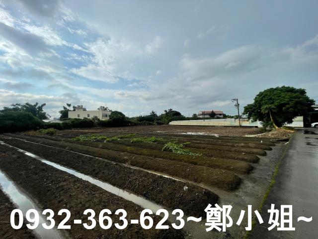 桃園八德農地-11